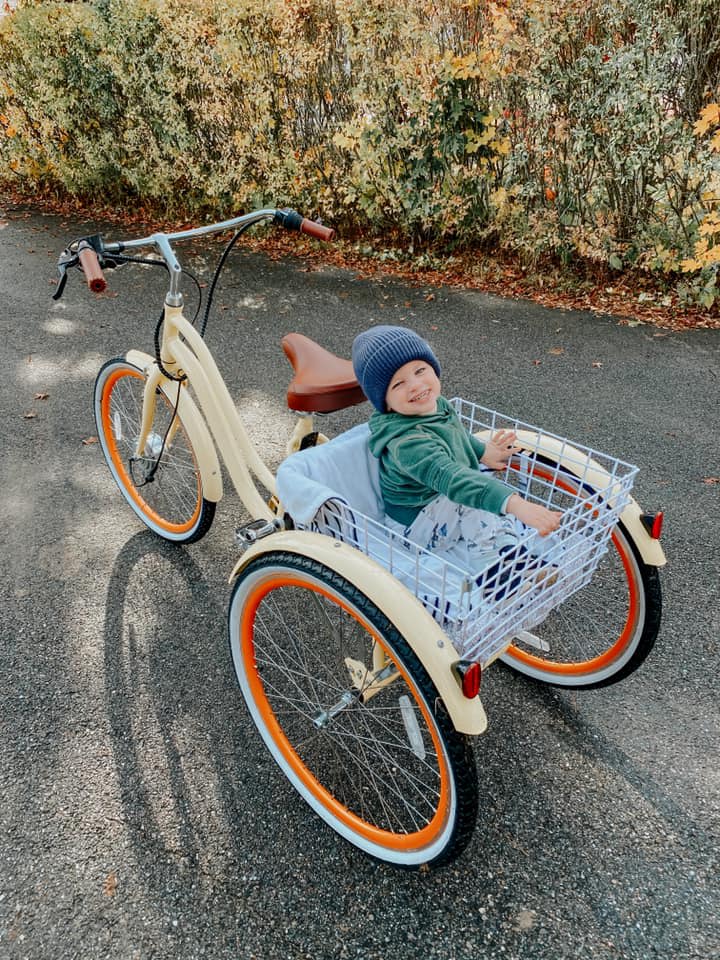 adult trike with gears