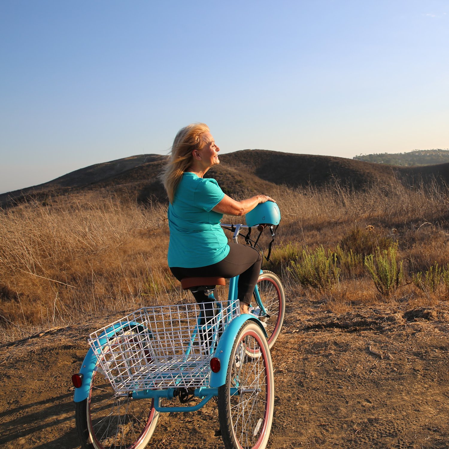 3 wheel electric bikes for seniors