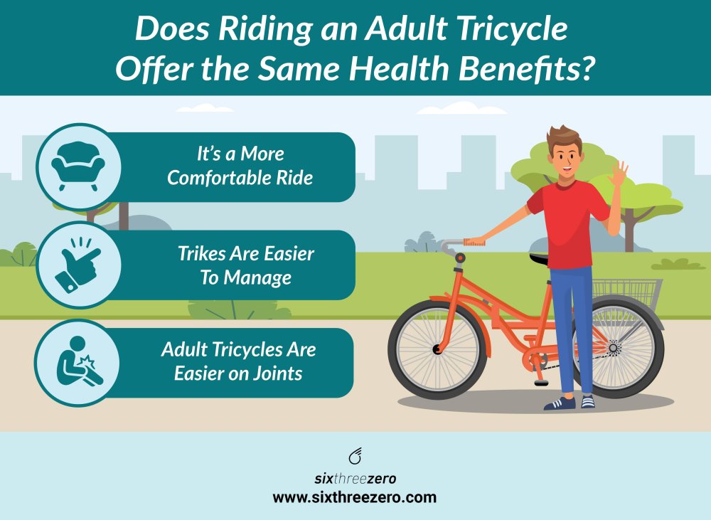 Best Tricycles for Plus Sized Riders | Top Adult Tricycles best for ...