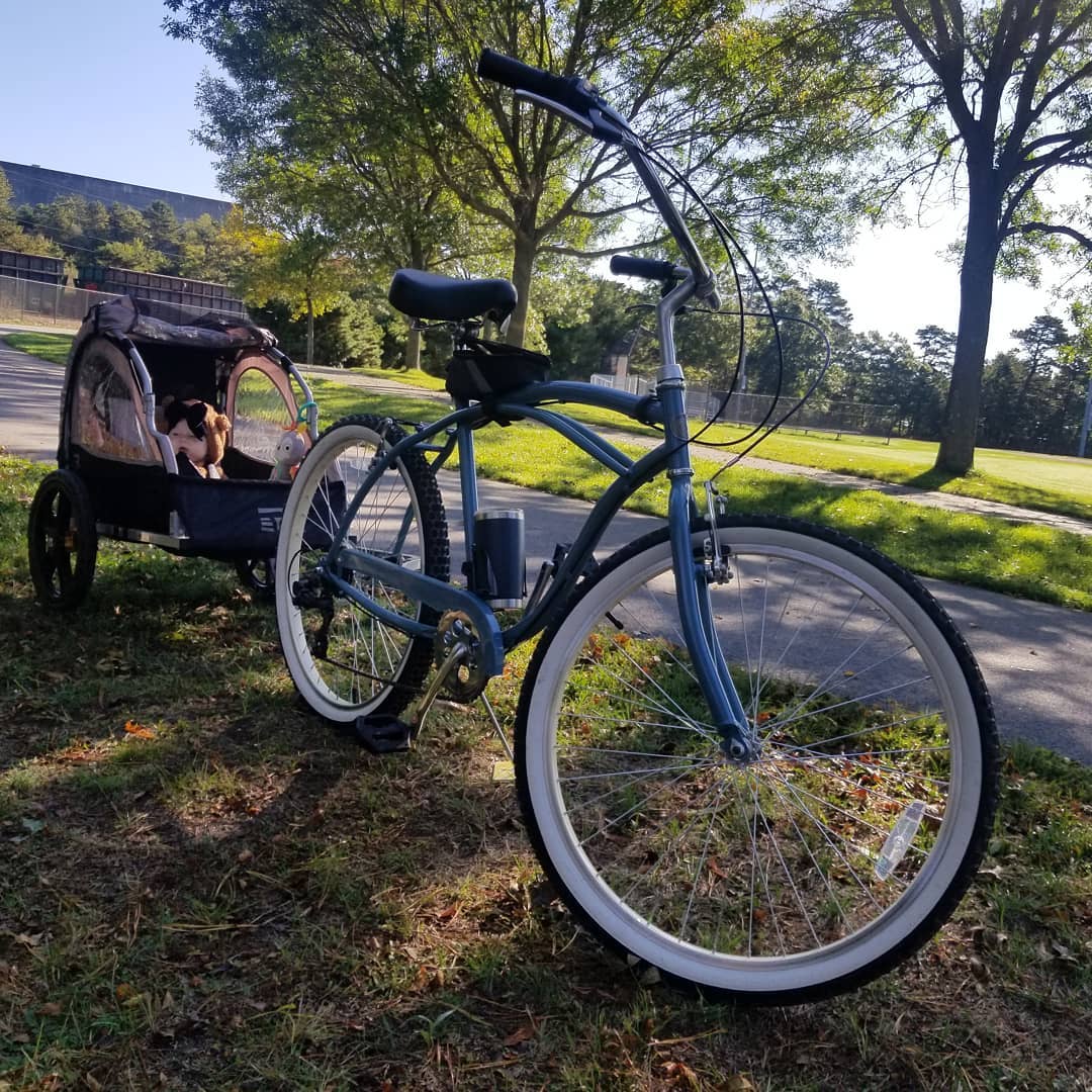 Baby seat for beach cruiser outlet bike