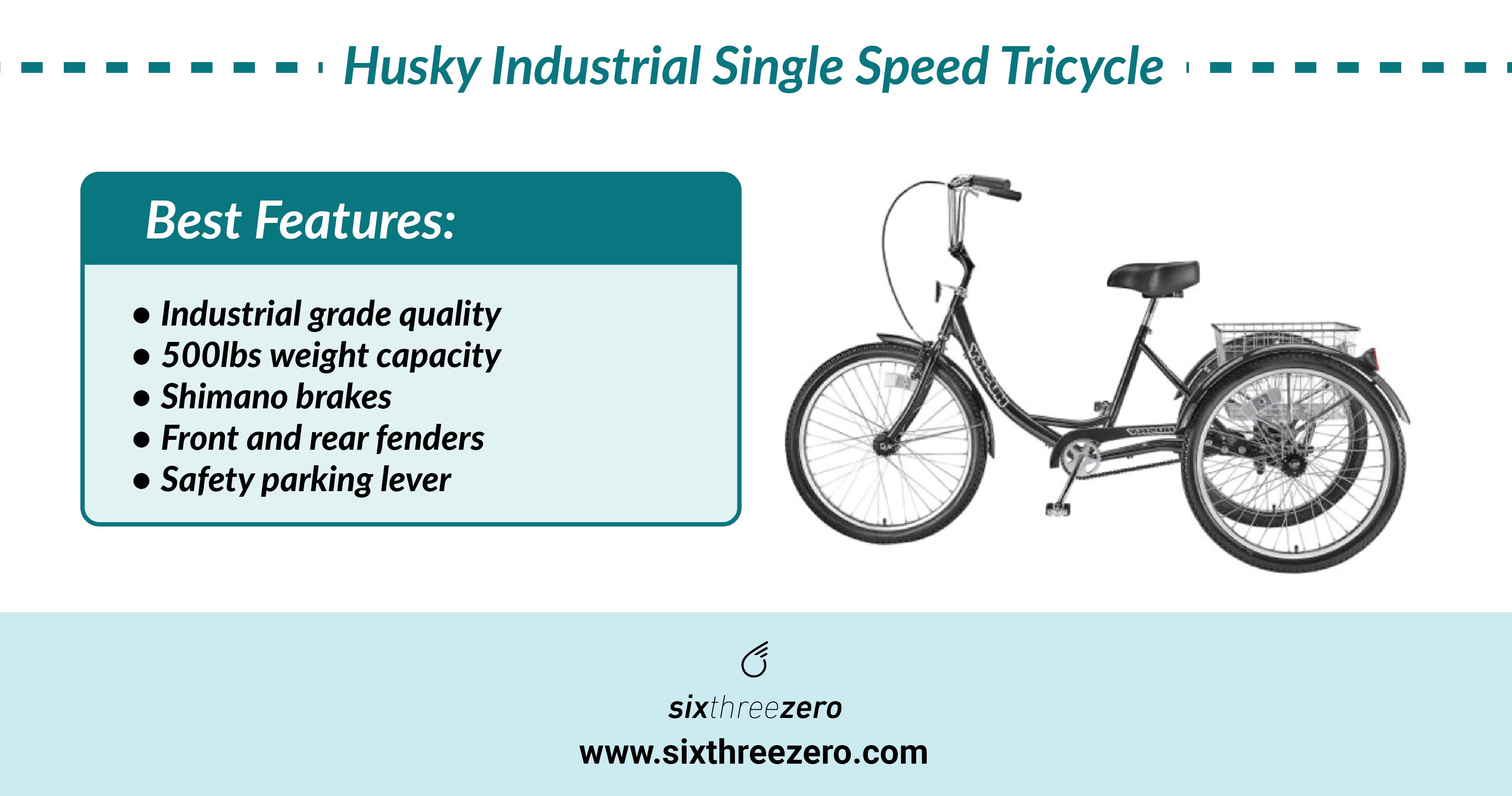 Best Tricycles for Plus Sized Riders Top Adult Tricycles best for