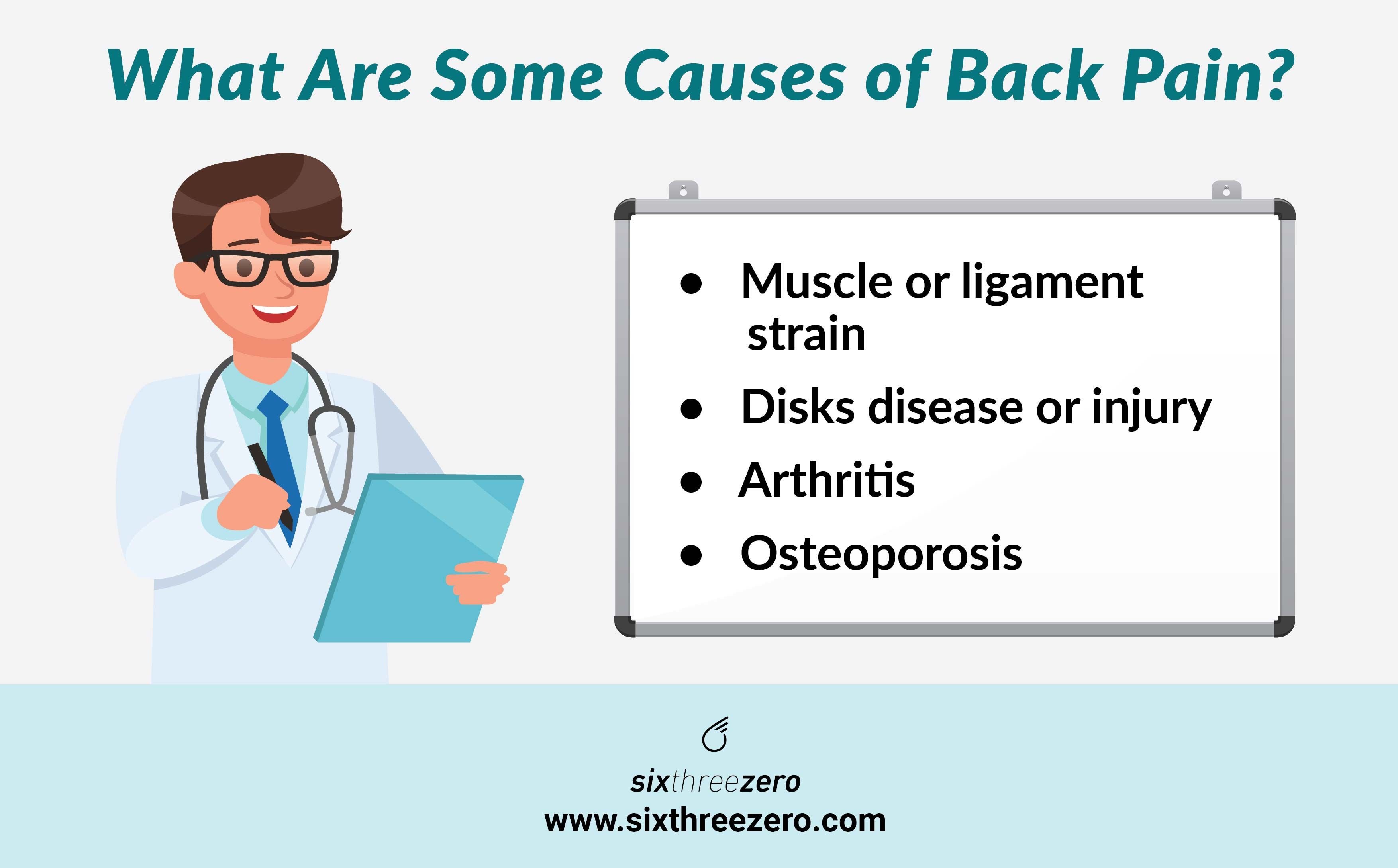 The Best Electric Bikes for Back Pain Relief Electric Bike Reviews