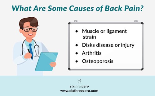 best bike for back pain