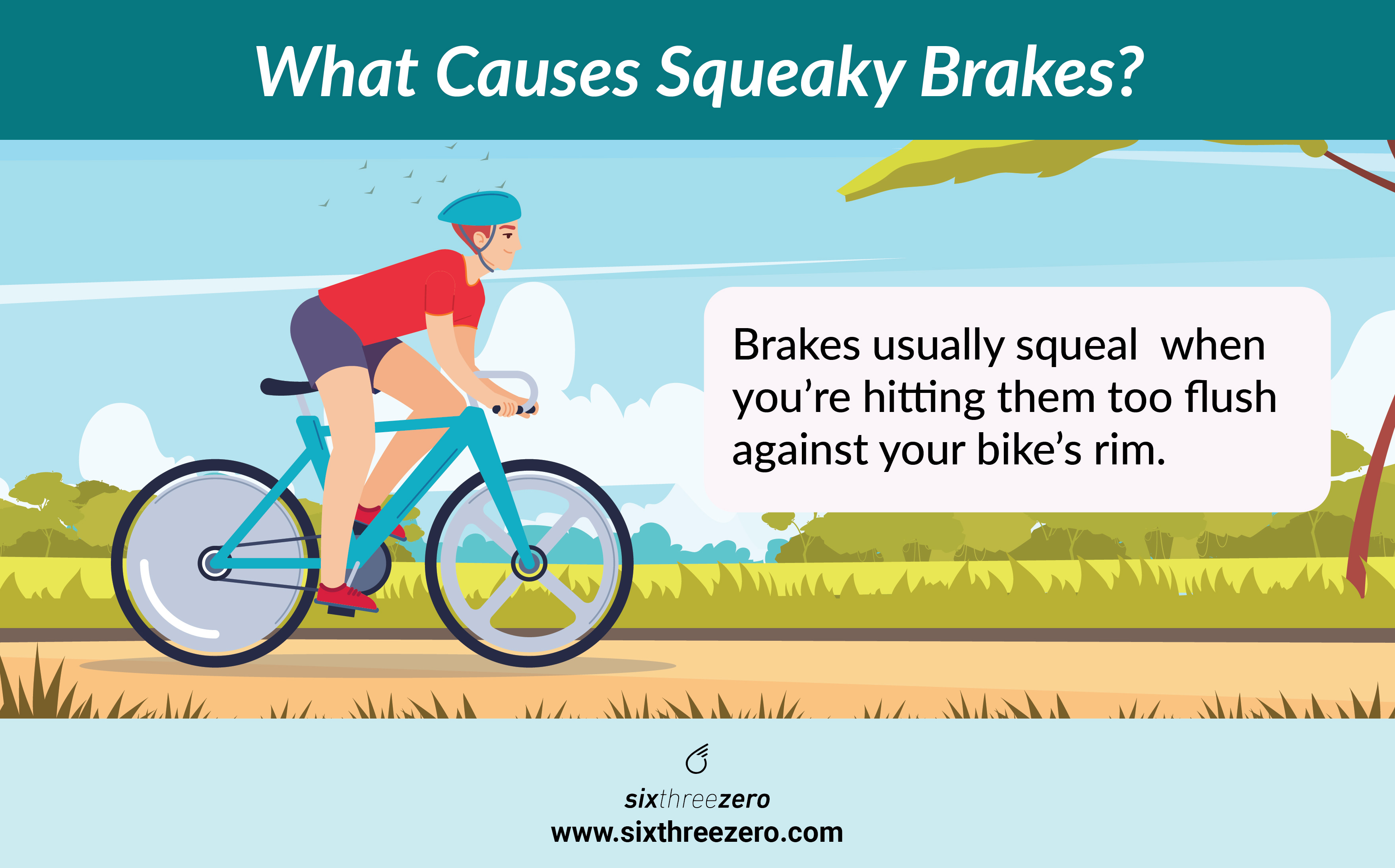 Squeaky 2024 bicycle brakes