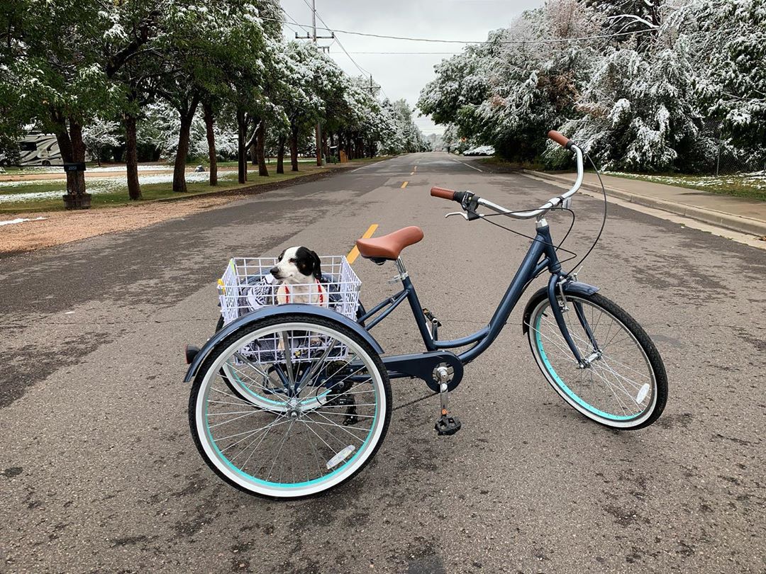 Safest 3 Wheel Bikes for Adults over 60 Secure and Stable Tricycles