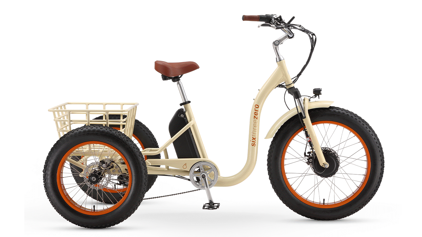 Simple Step Thru Fat Tire 3 Wheel Electric Bike for Adults Three
