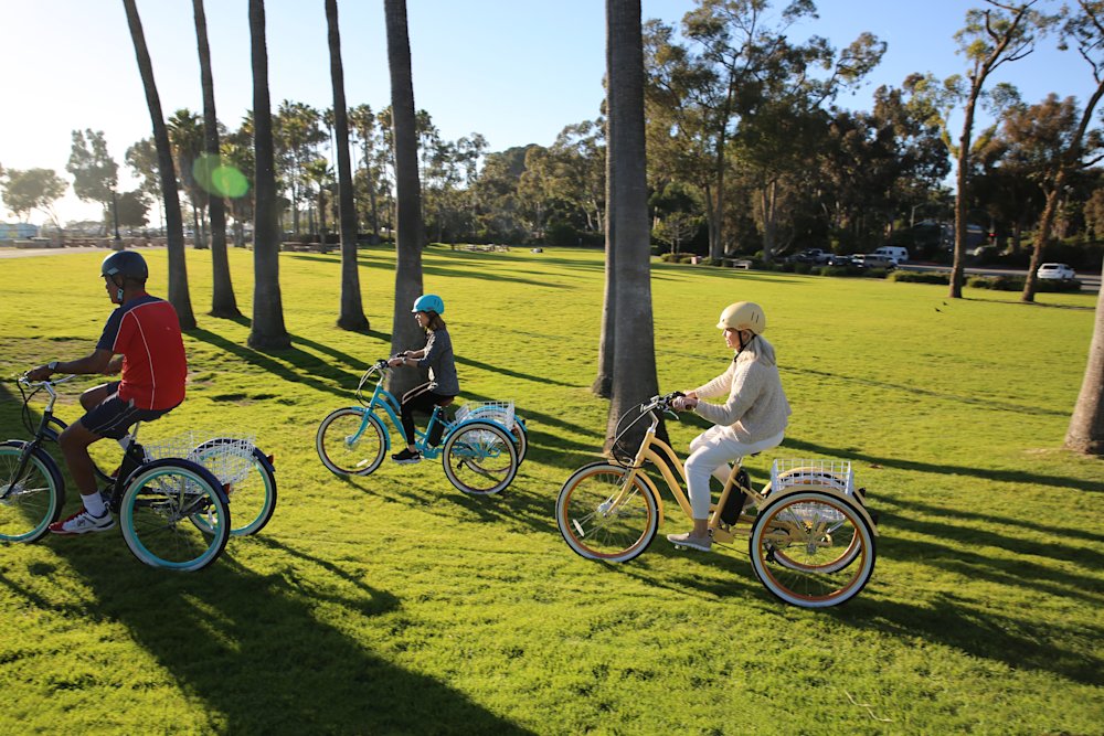 Best 3Wheel Electric Bikes for Seniors Over 60 Top Adult Tricycles