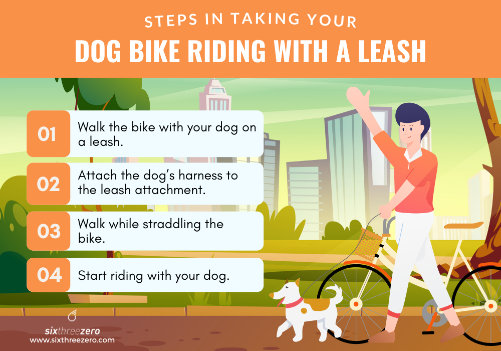 How To Take Your Dog Bike Riding With A Leash