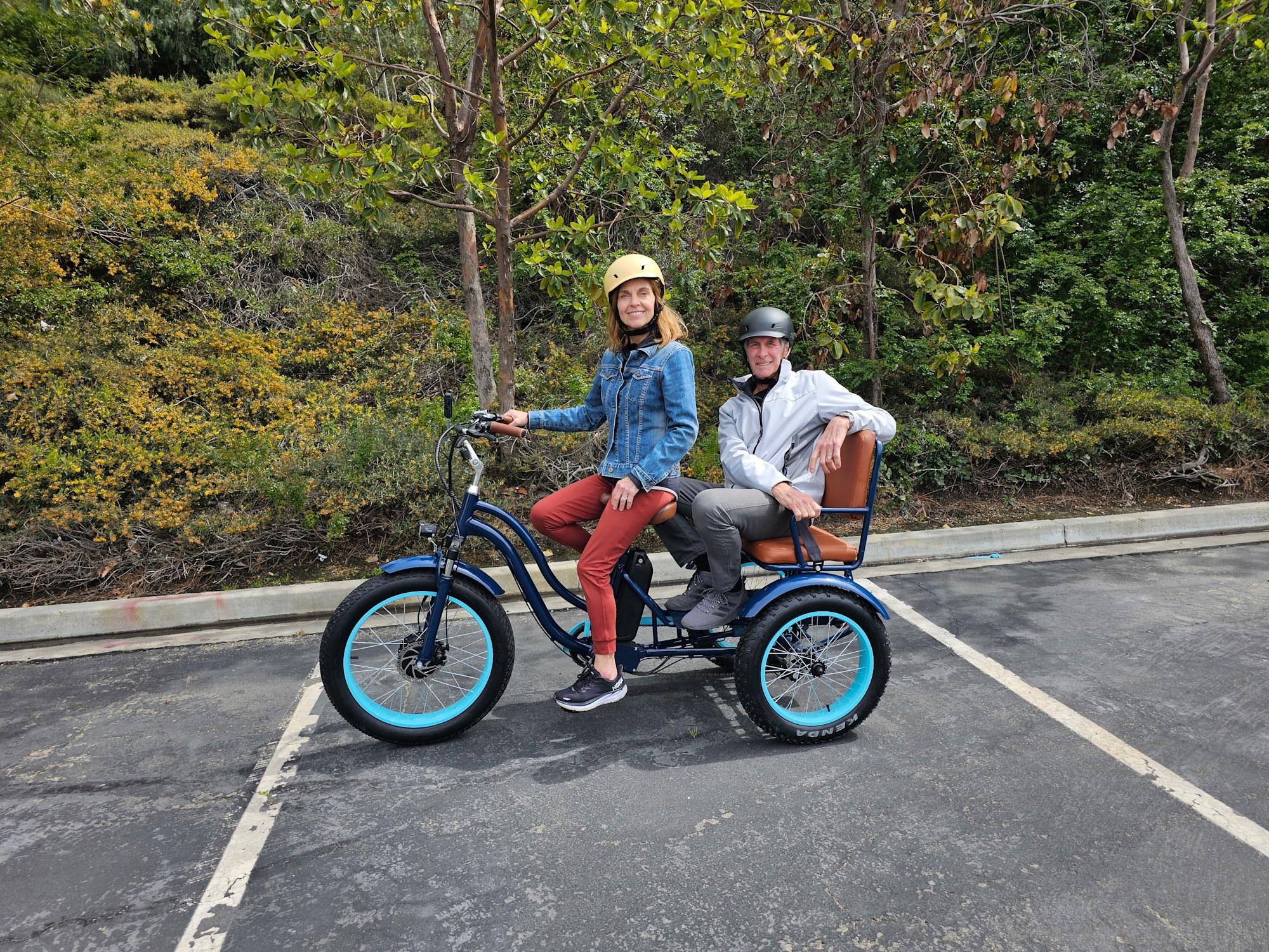The ABSOLUTE BEST Ebike Child Seat Electric Bike Trailer for Kids