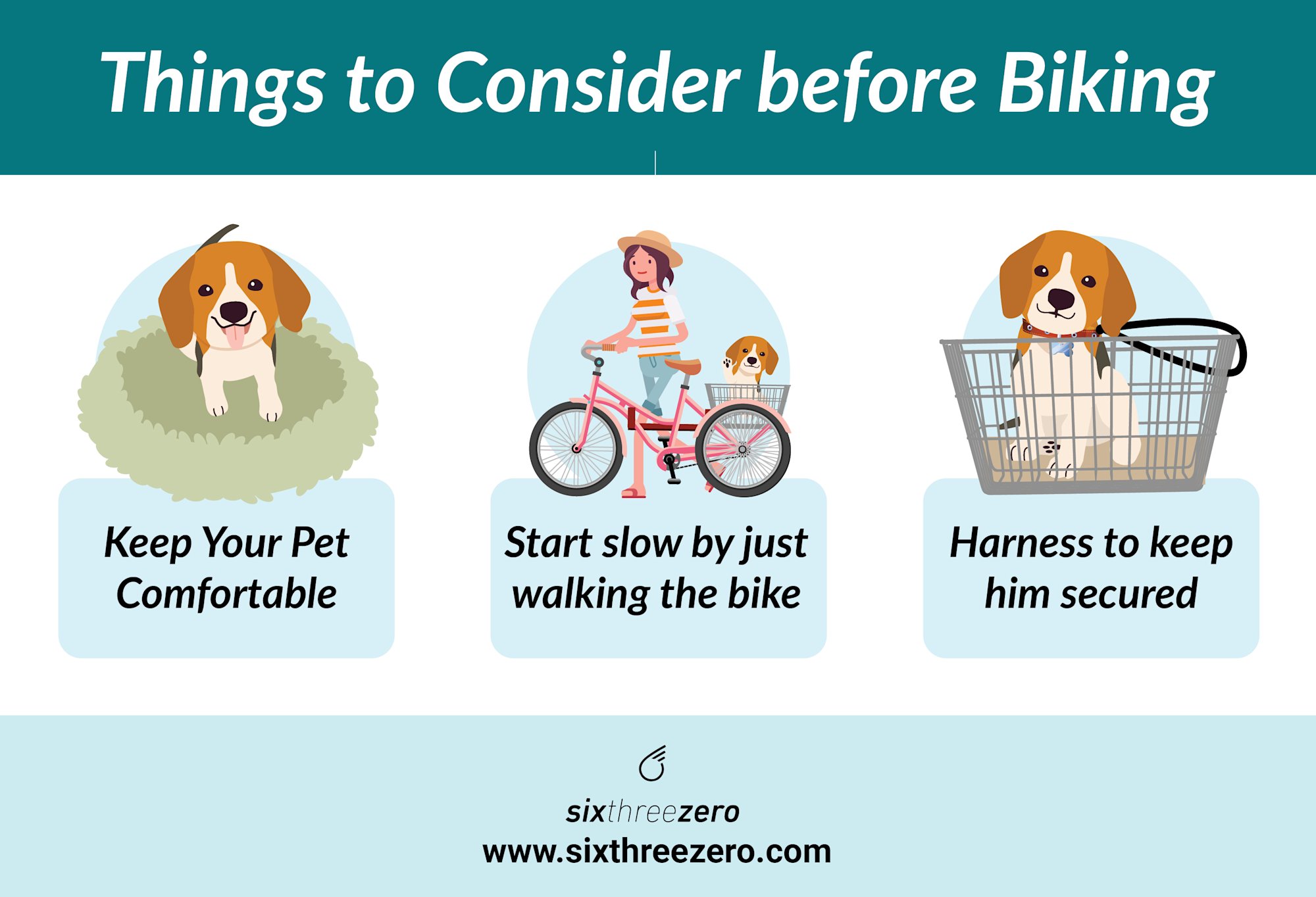 Ride with Your Dog in a Bike Basket Adult Tricycles as the Best Option