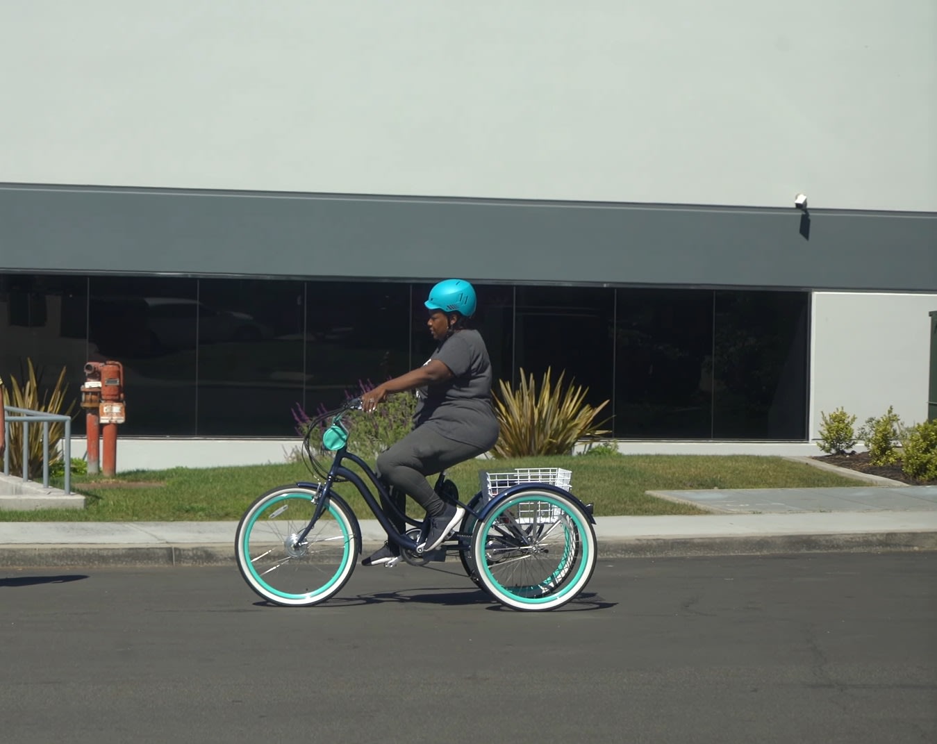 Riding in Style: Best Electric Tricycles for Heavier Riders | Expert ...