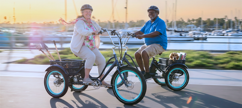 I Found the Perfect E-Trike After Back Surgery | A Busy Mom’s Life ...