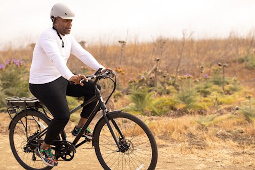 american electric cycle