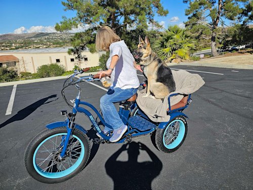 Dog's Reaction on EBike Rickshaw Ride: Hilarious Canine Journey!