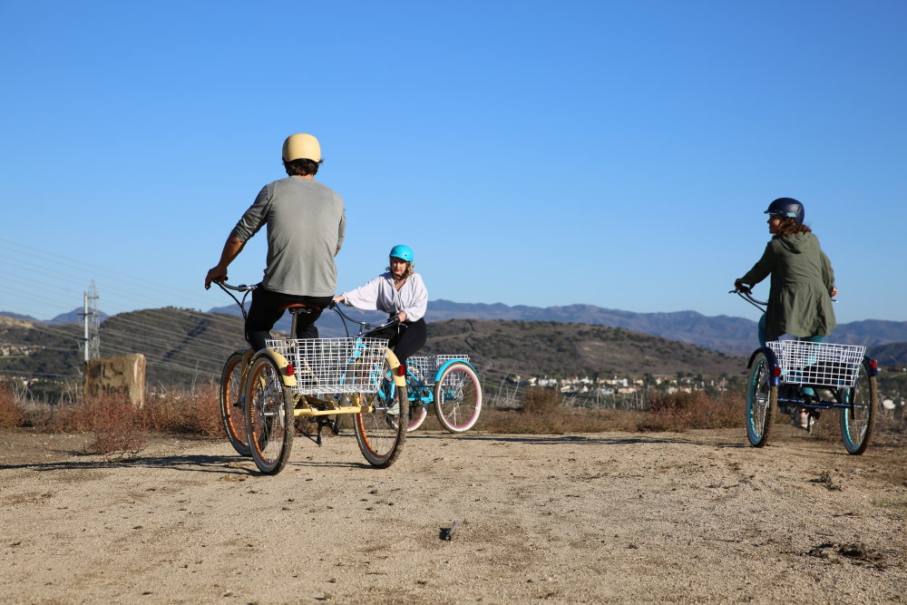 family trike bike