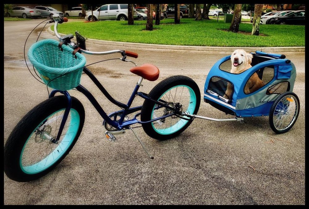 electric bike for big and tall