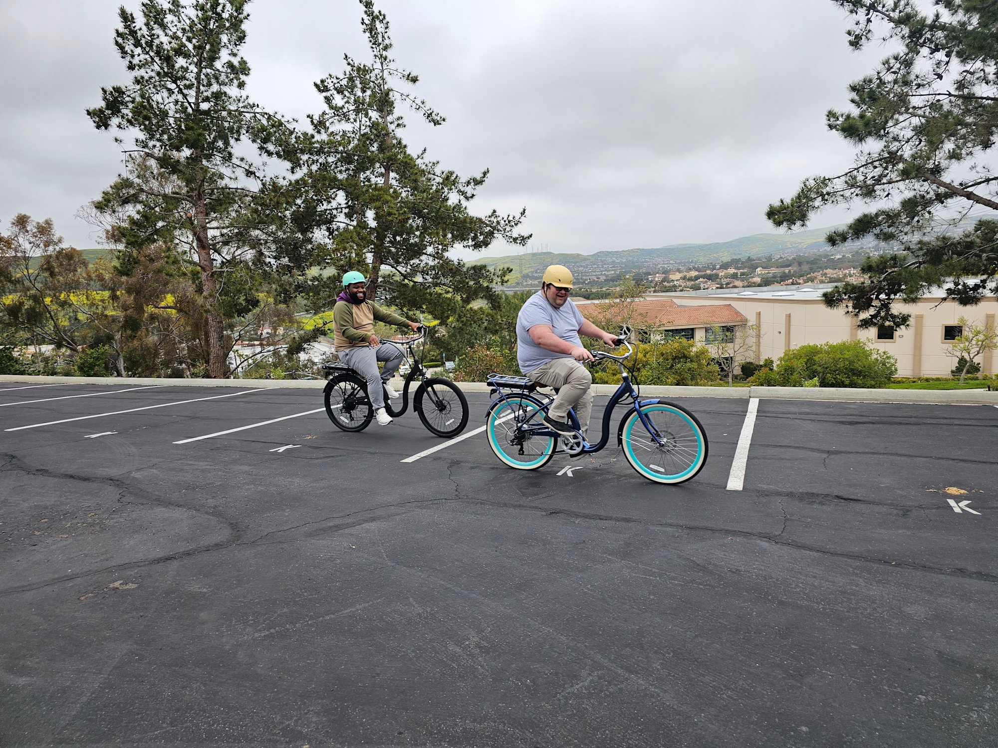 The LOWEST Step Thru Electric Bike for Seniors & Adults for Easy On & Off - Low Step Electric Bike For Seniors
