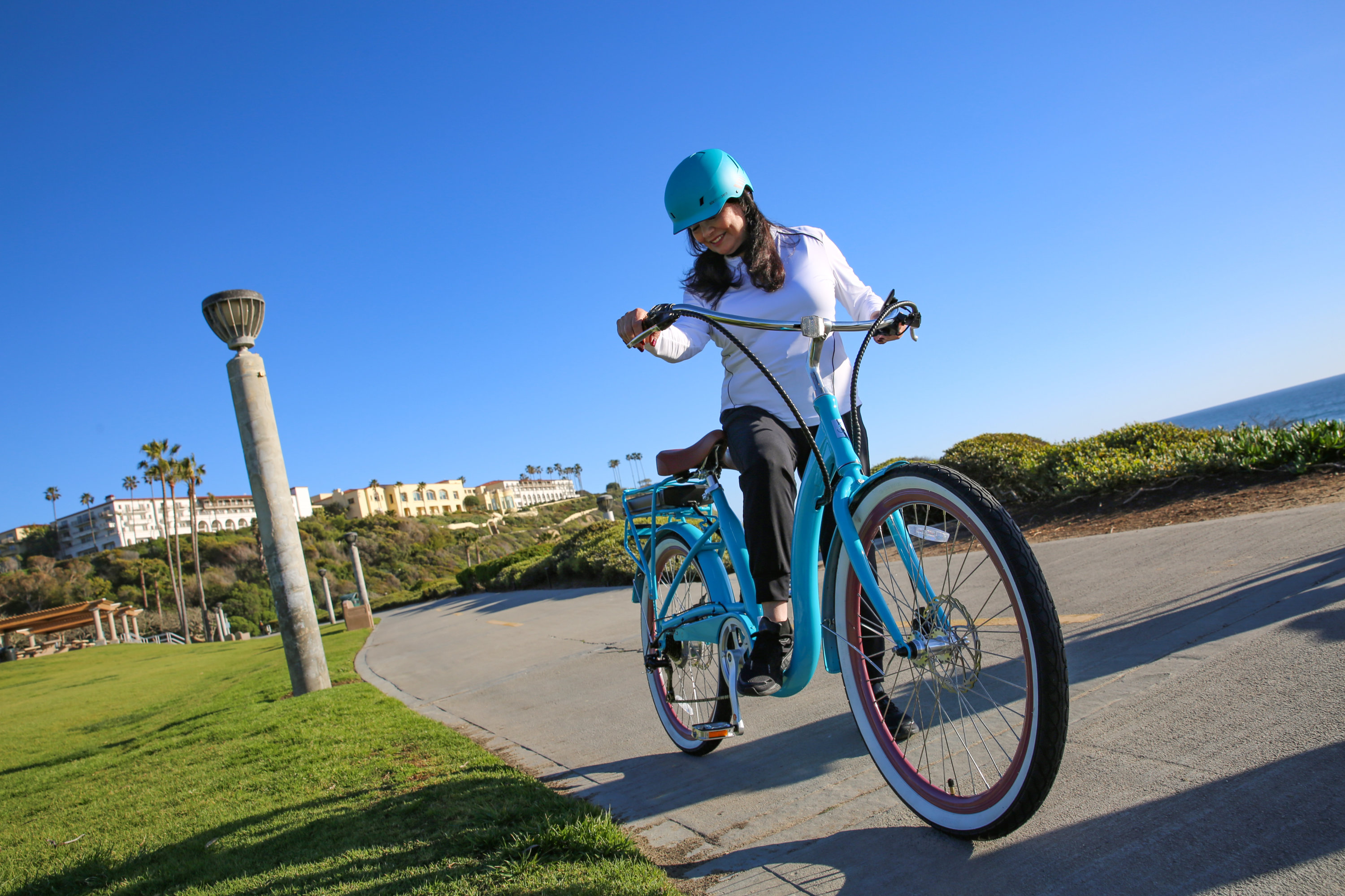 electric bike with disc brakes