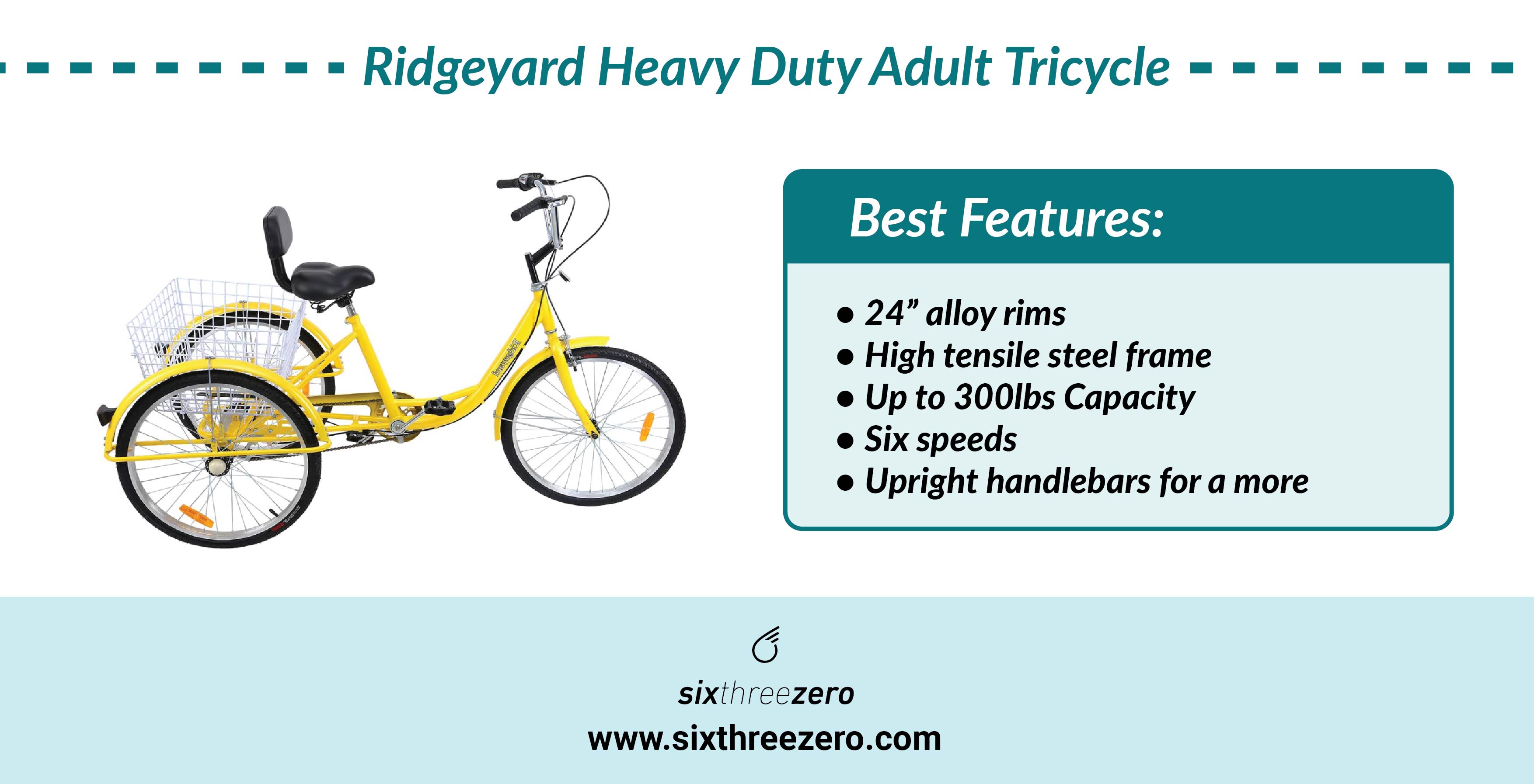 Best Tricycles for Plus Sized Riders Top Adult Tricycles best for