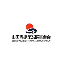 Chin youth development foundation