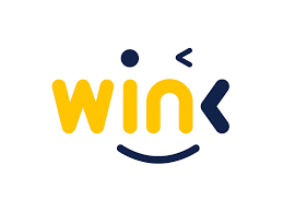 An image of the WINkLink logo.