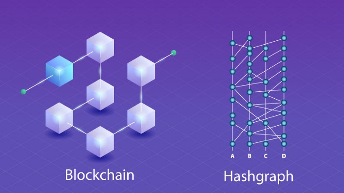 An illustration showing the difference between blockchain and hashgraph. 