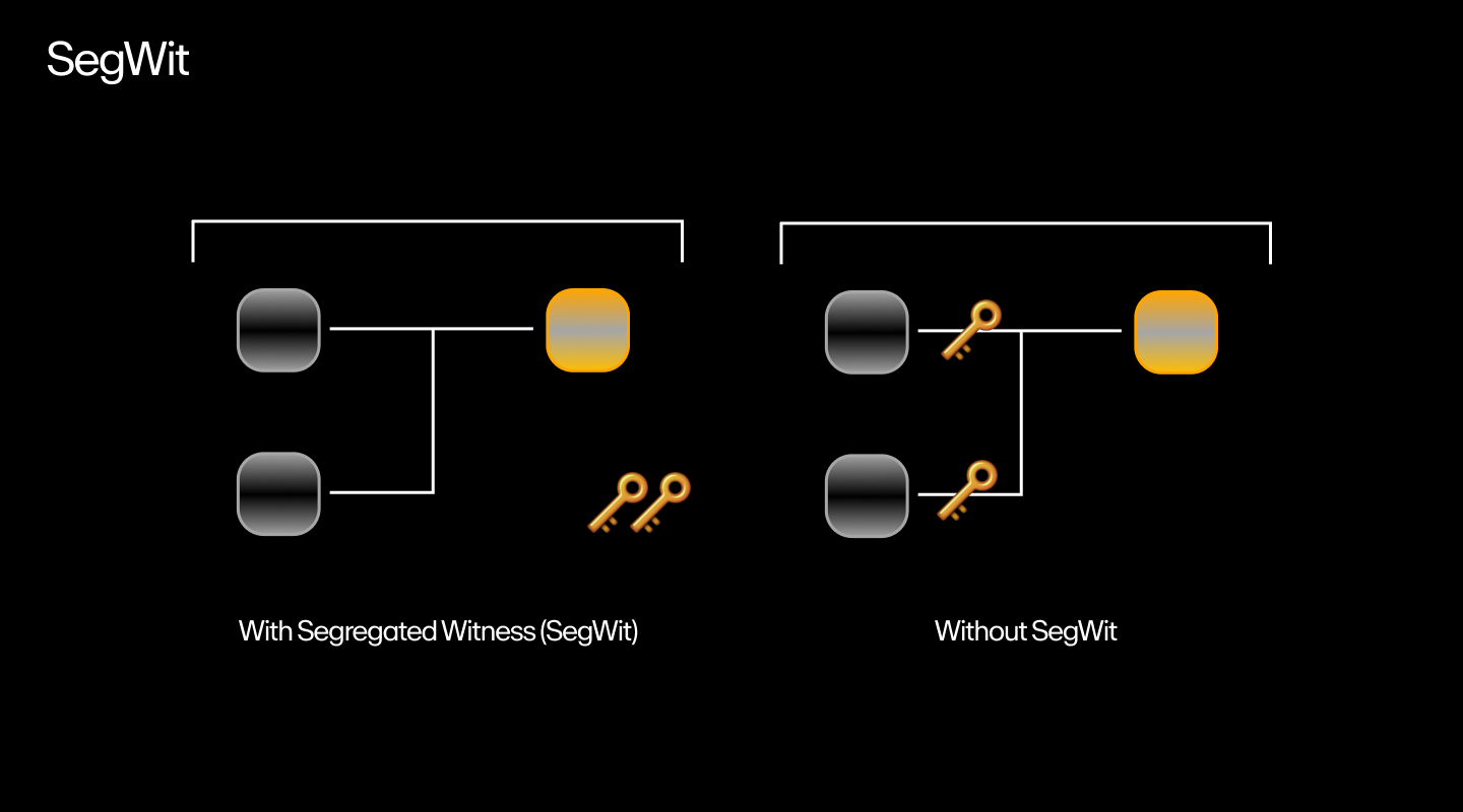 A schematic representation of how a SegWit transaction works.