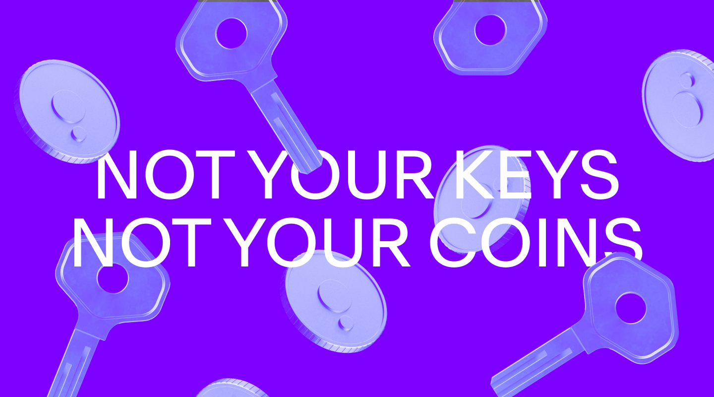 A graphic saying "Not your keys, not your coins"