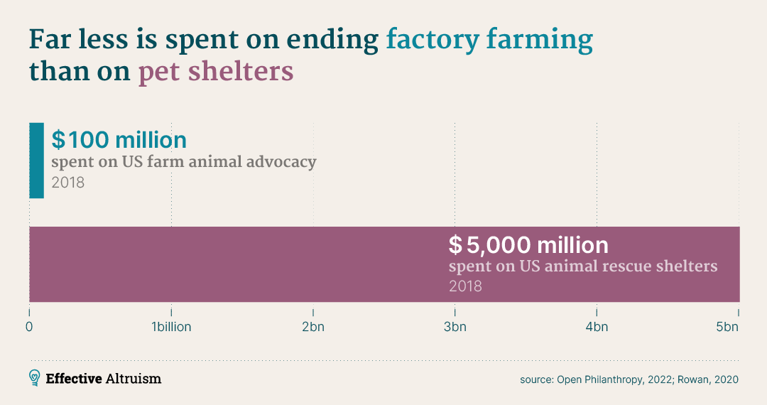 Animal welfare spending