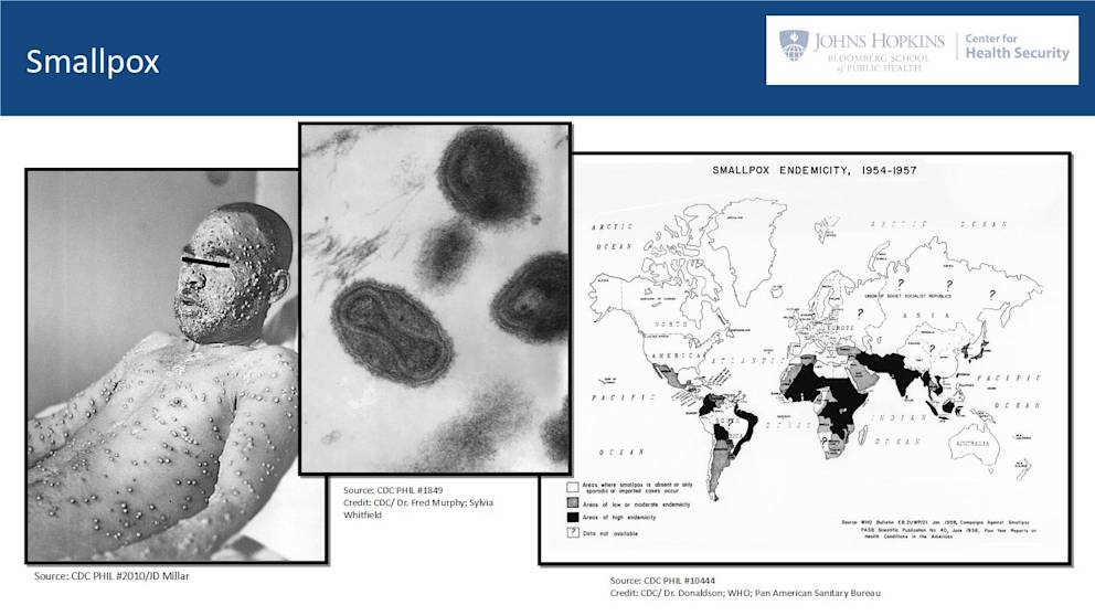 Assessing global catastrophic biological risks (Crystal Watson) — EA Forum