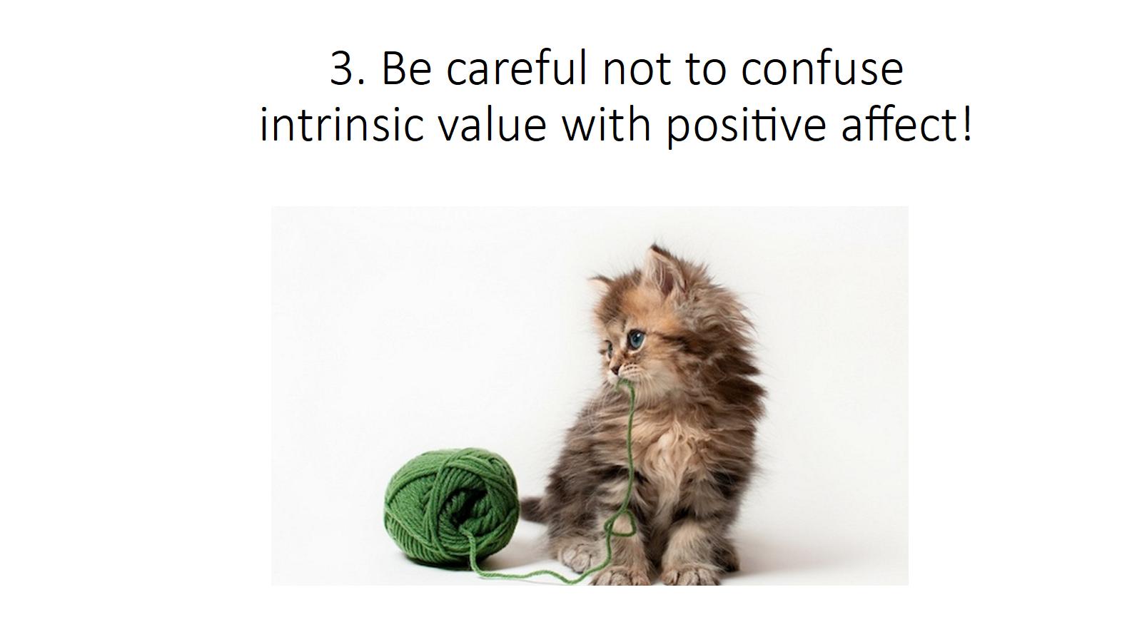 Intrinsic Values 14