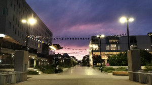 Dawn at Australian National Univeristy Kambri precinct