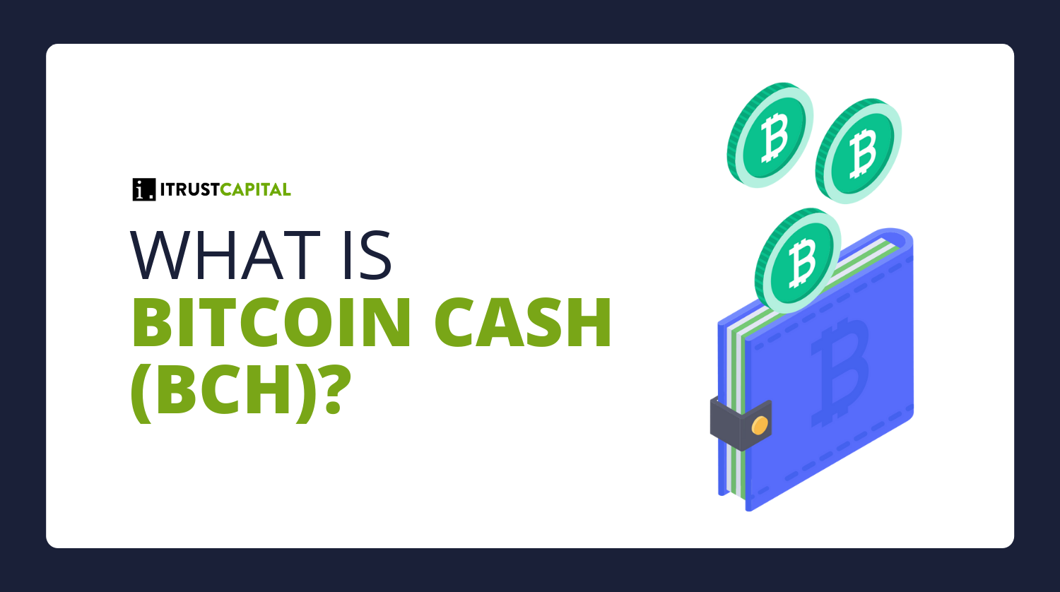 What is Bitcoin Cash 1.png