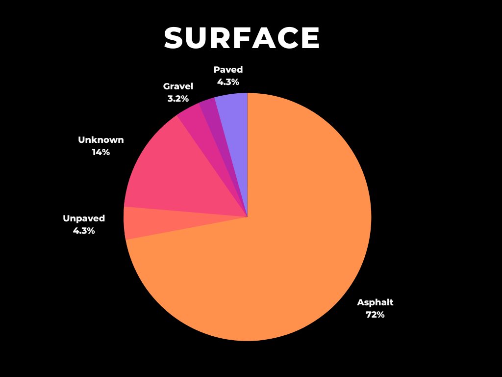 Infographic Presentation (3) (1)