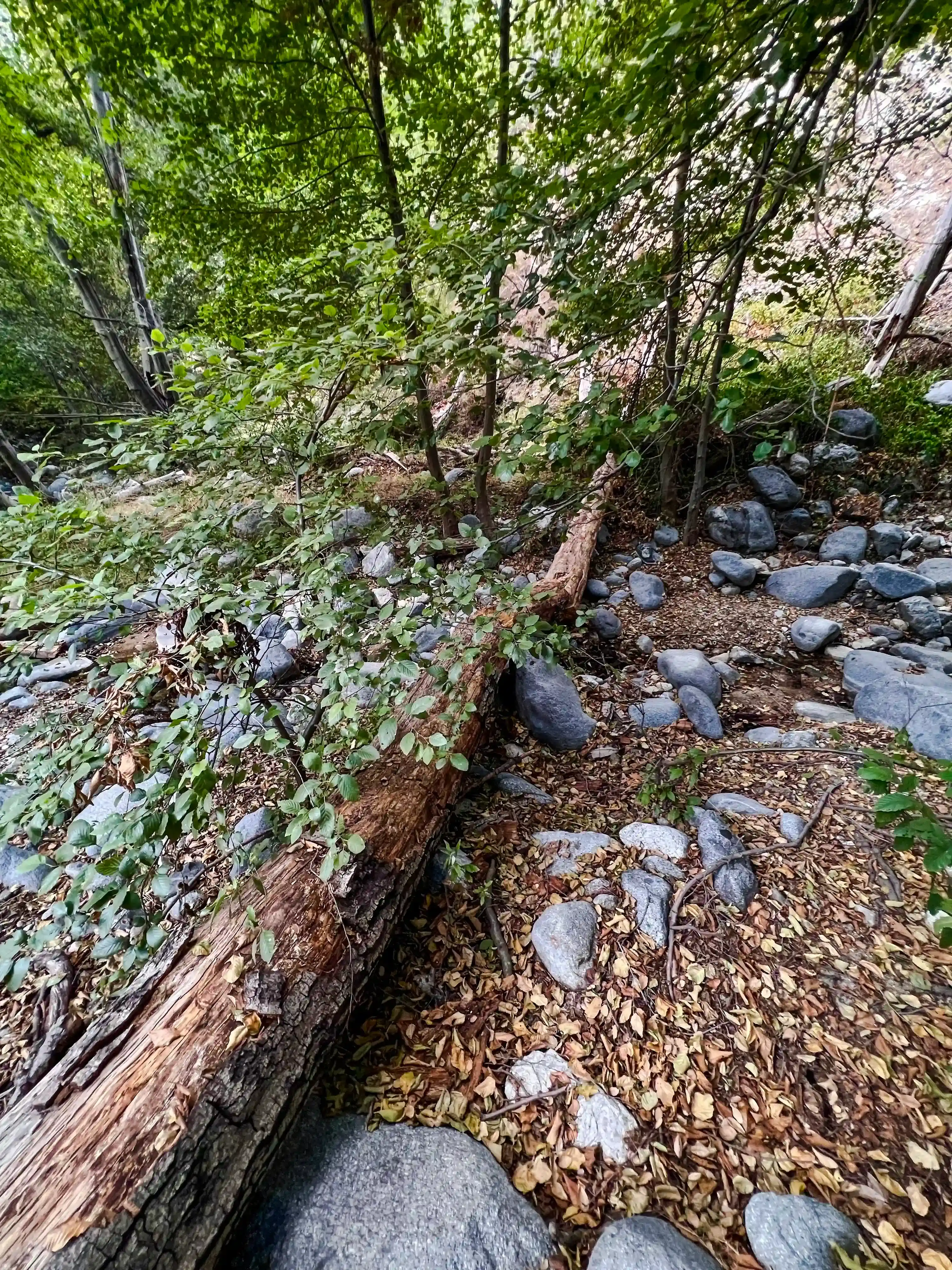 SwitzerFalls-08