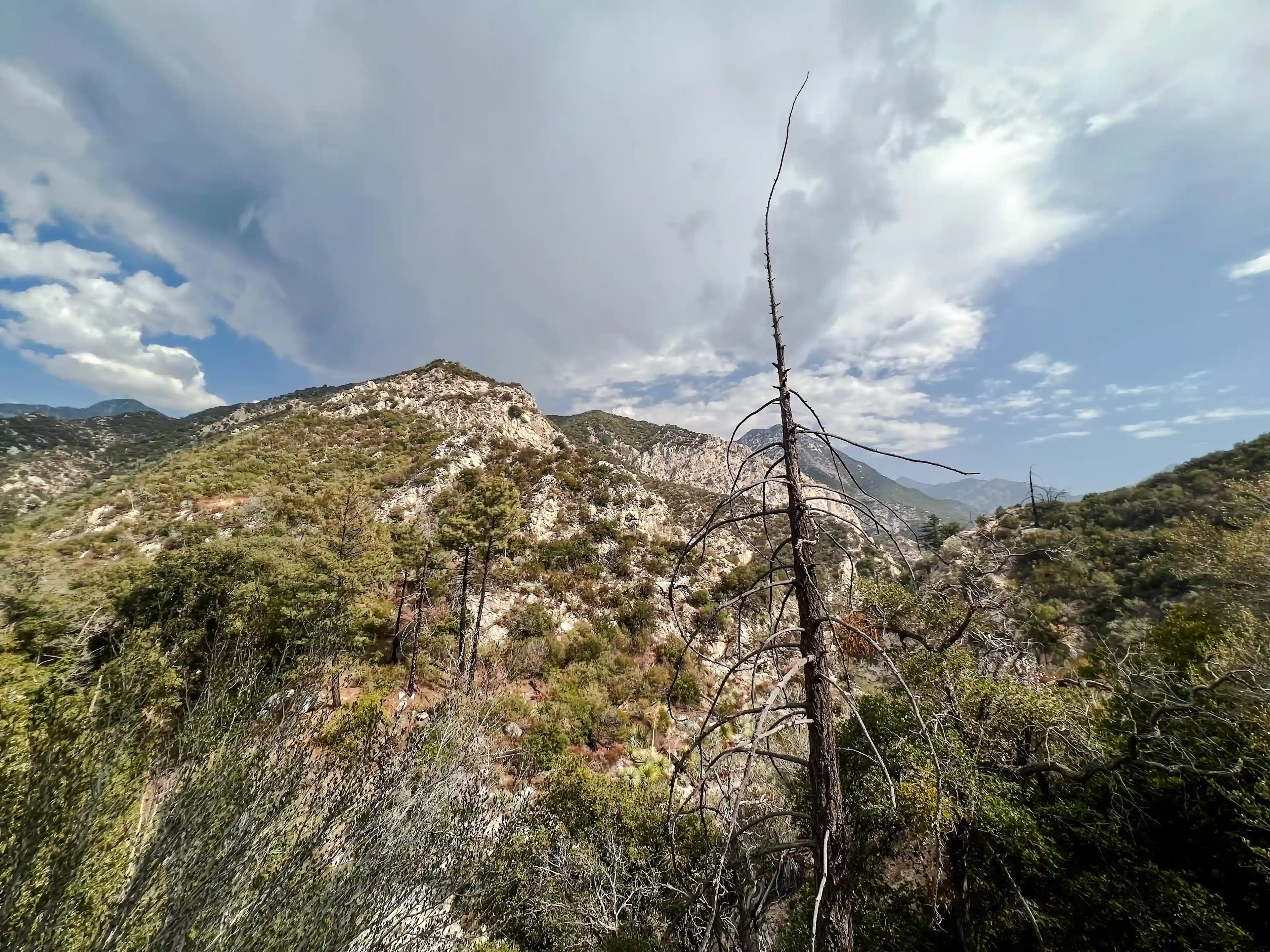 SwitzerFalls-11