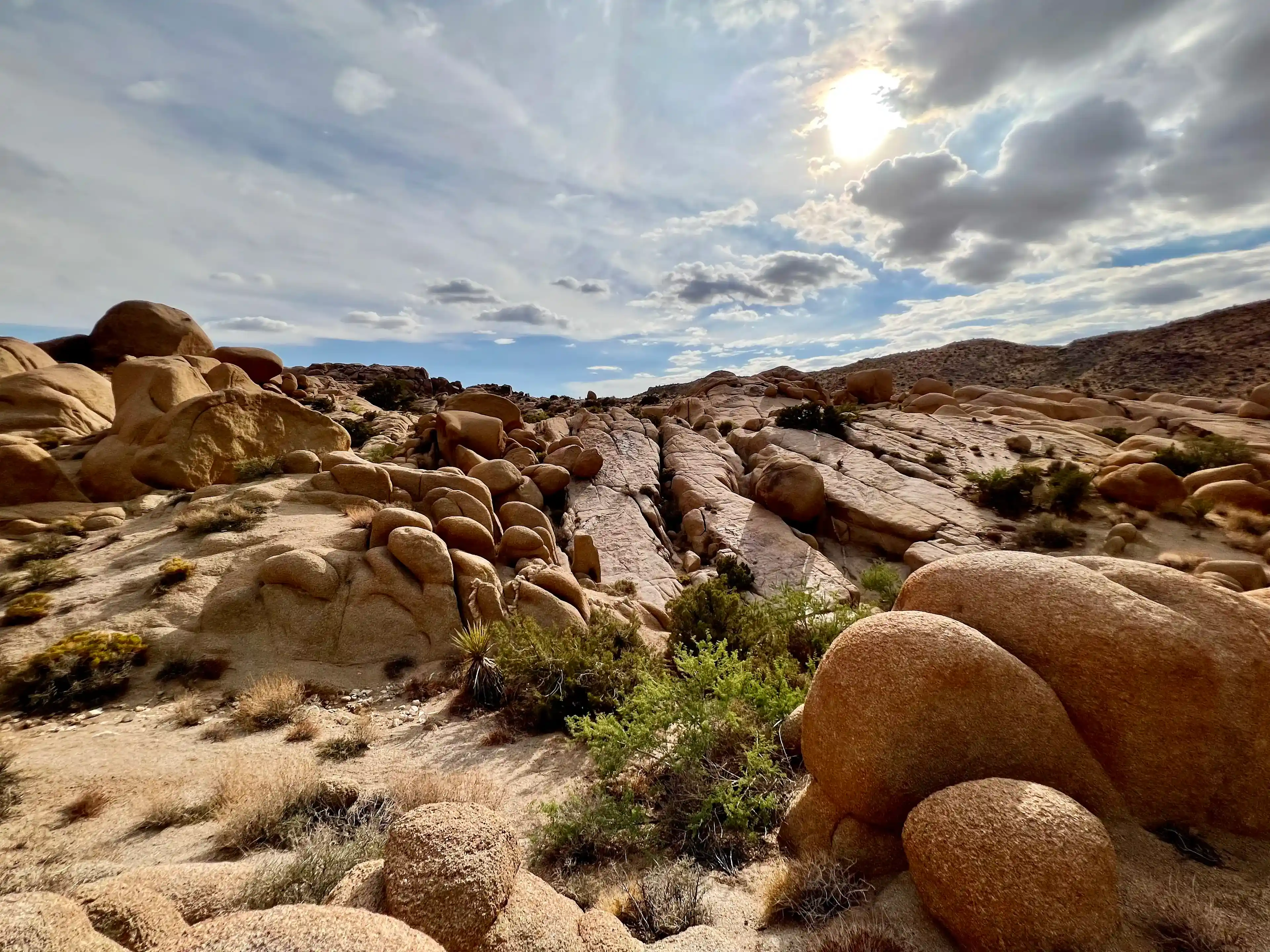 cloudy-day-at-joshua-tree-03