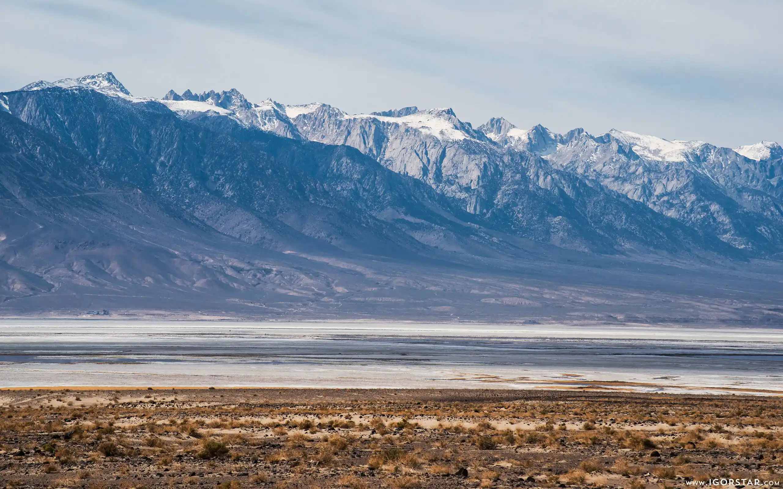 the-bloom-of-desert-09