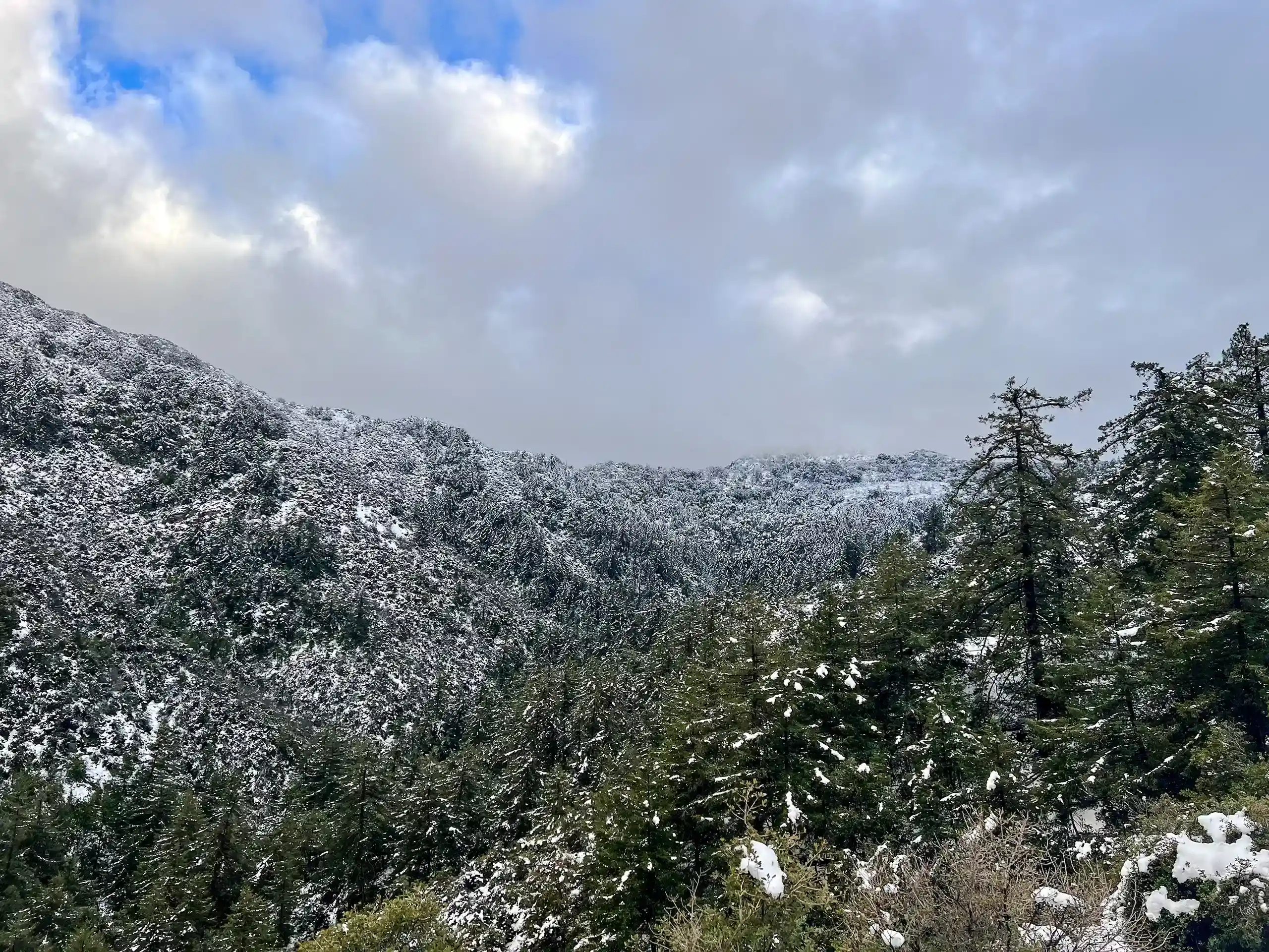 snowy mountains