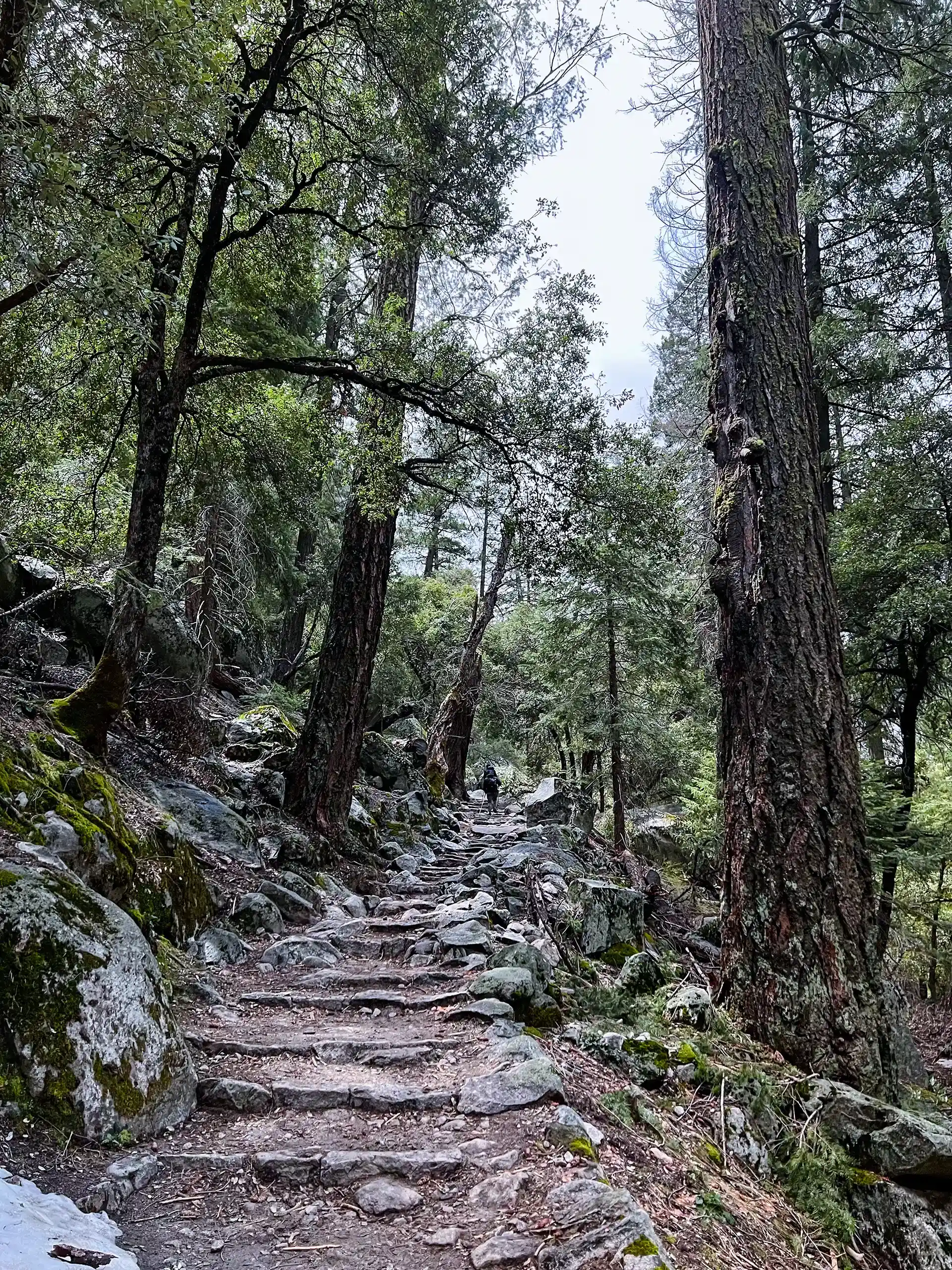 Trail to the mountains.
