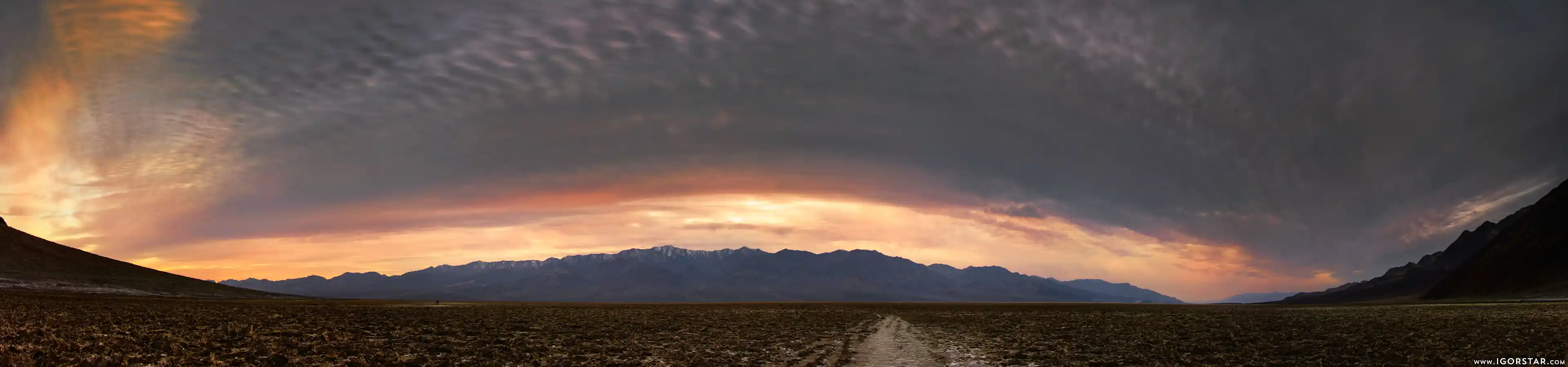 the-bloom-of-desert-15