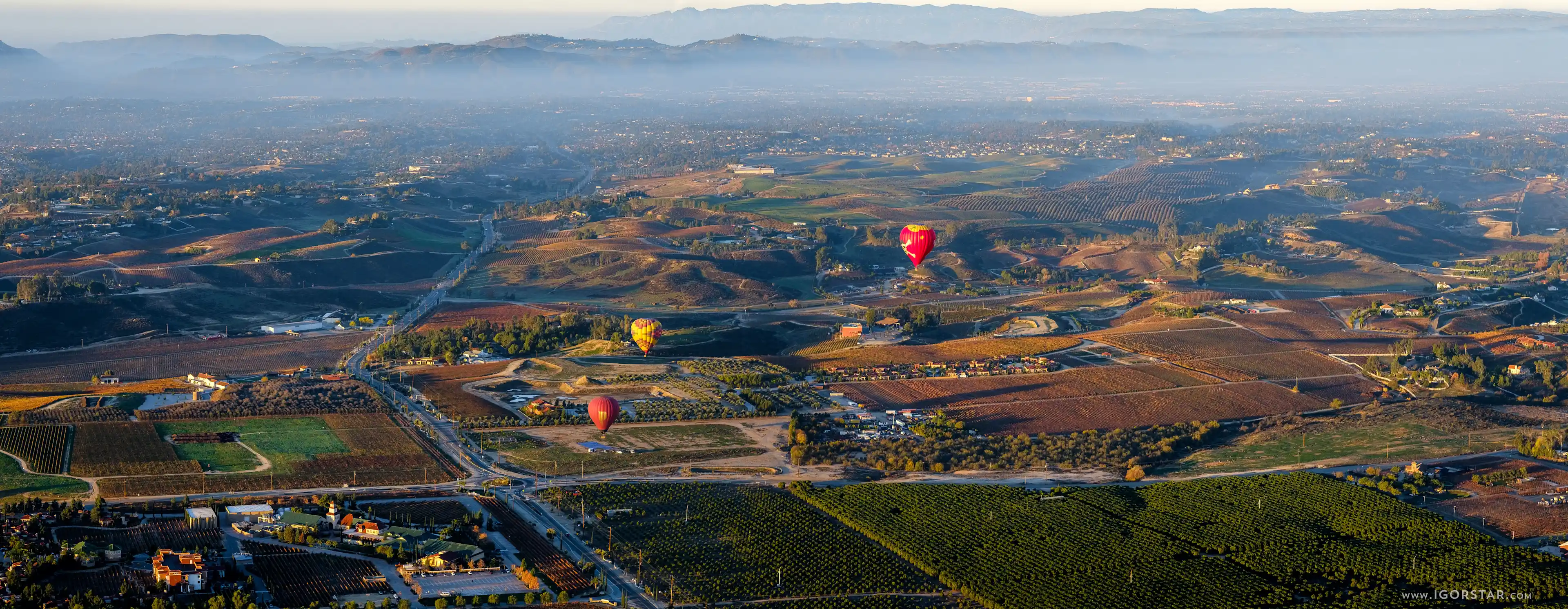39-Floating-over-vineyards