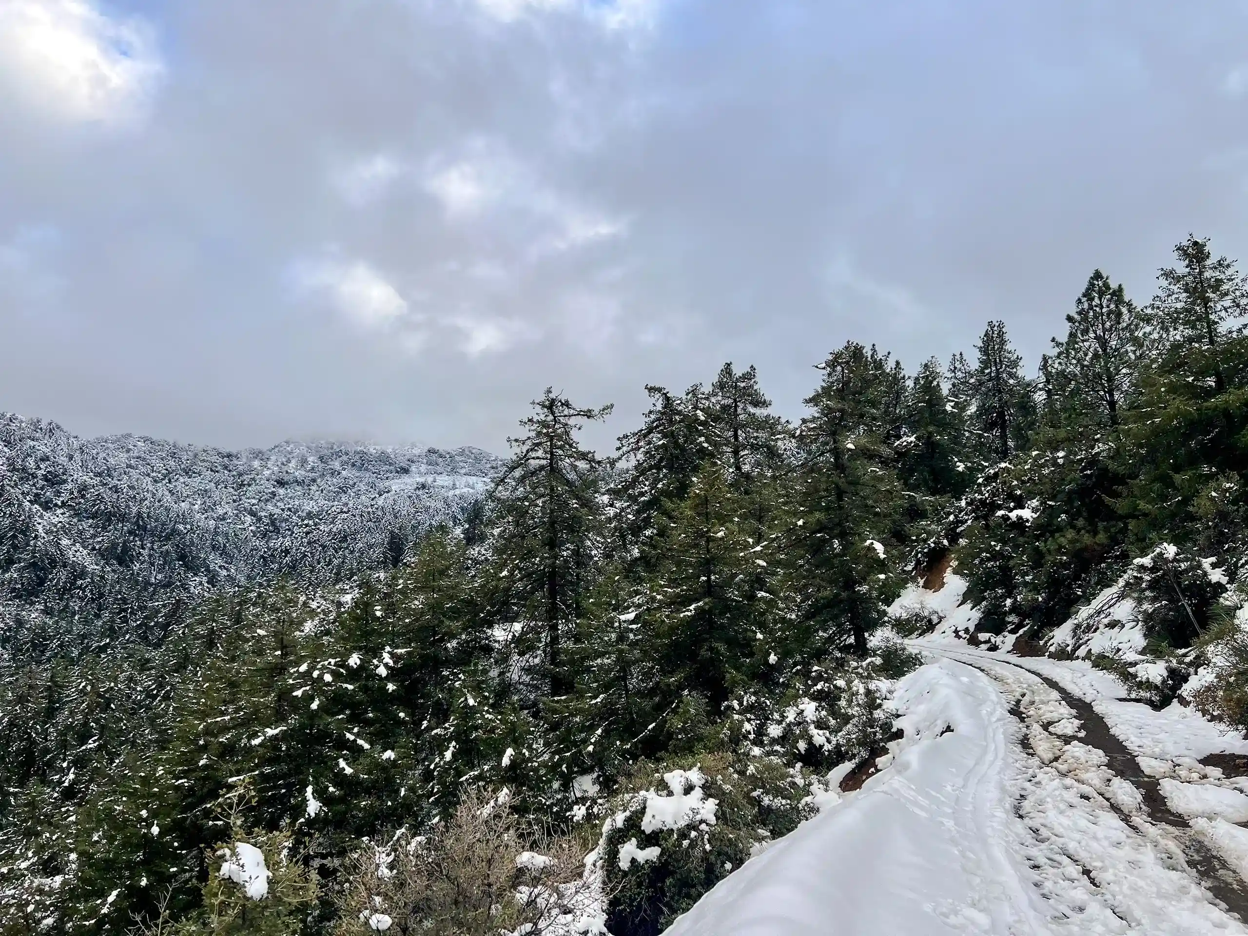 snowy trail to the peak
