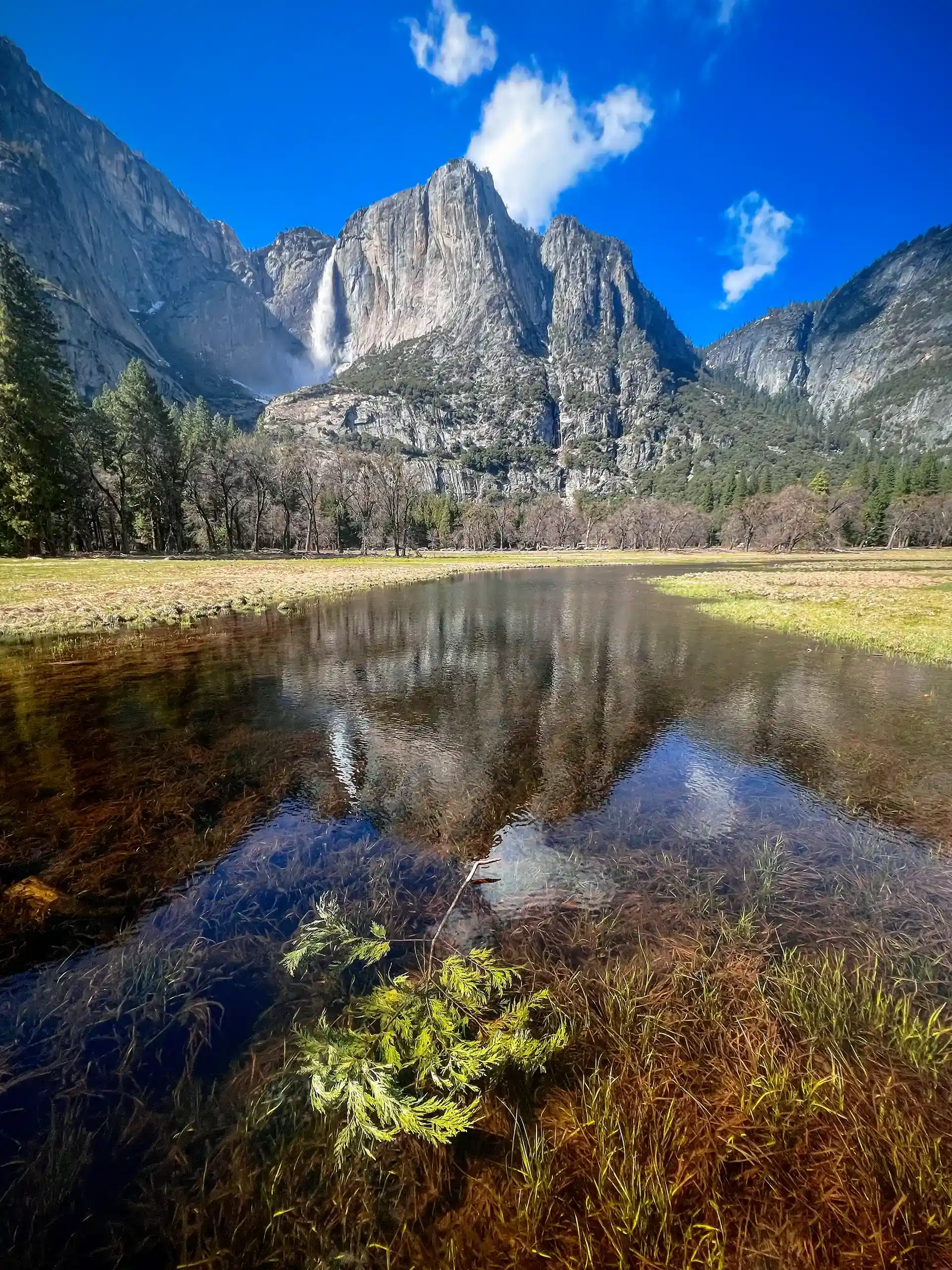 Cook's Meadow loop view on Yosemite falls
