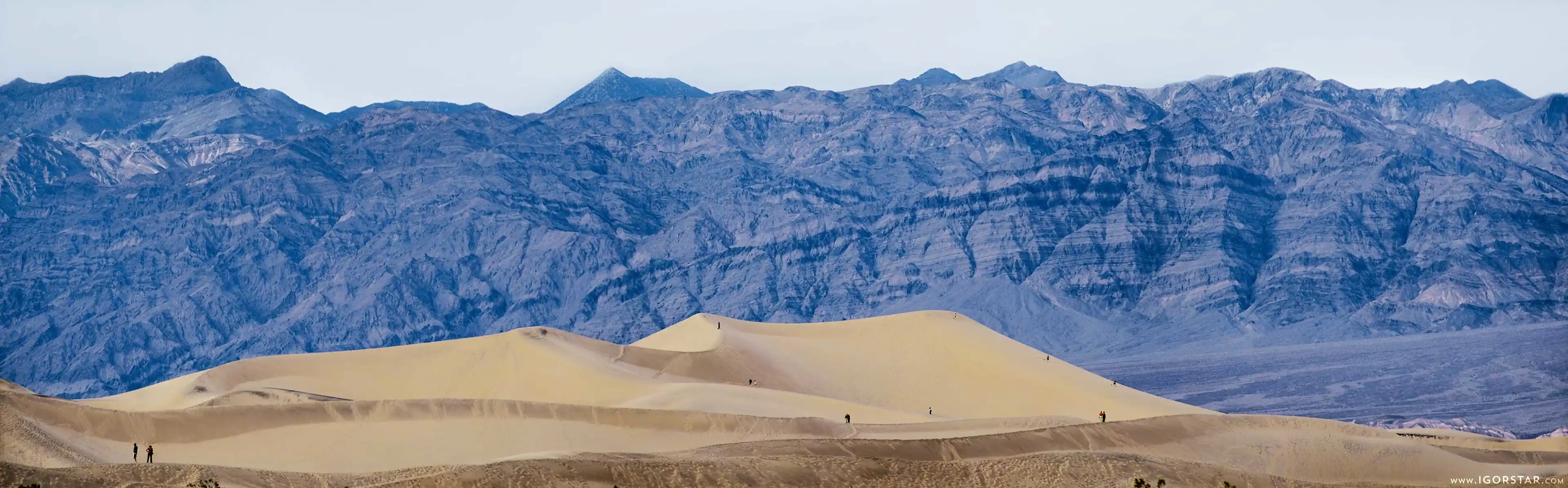 the-bloom-of-desert-11