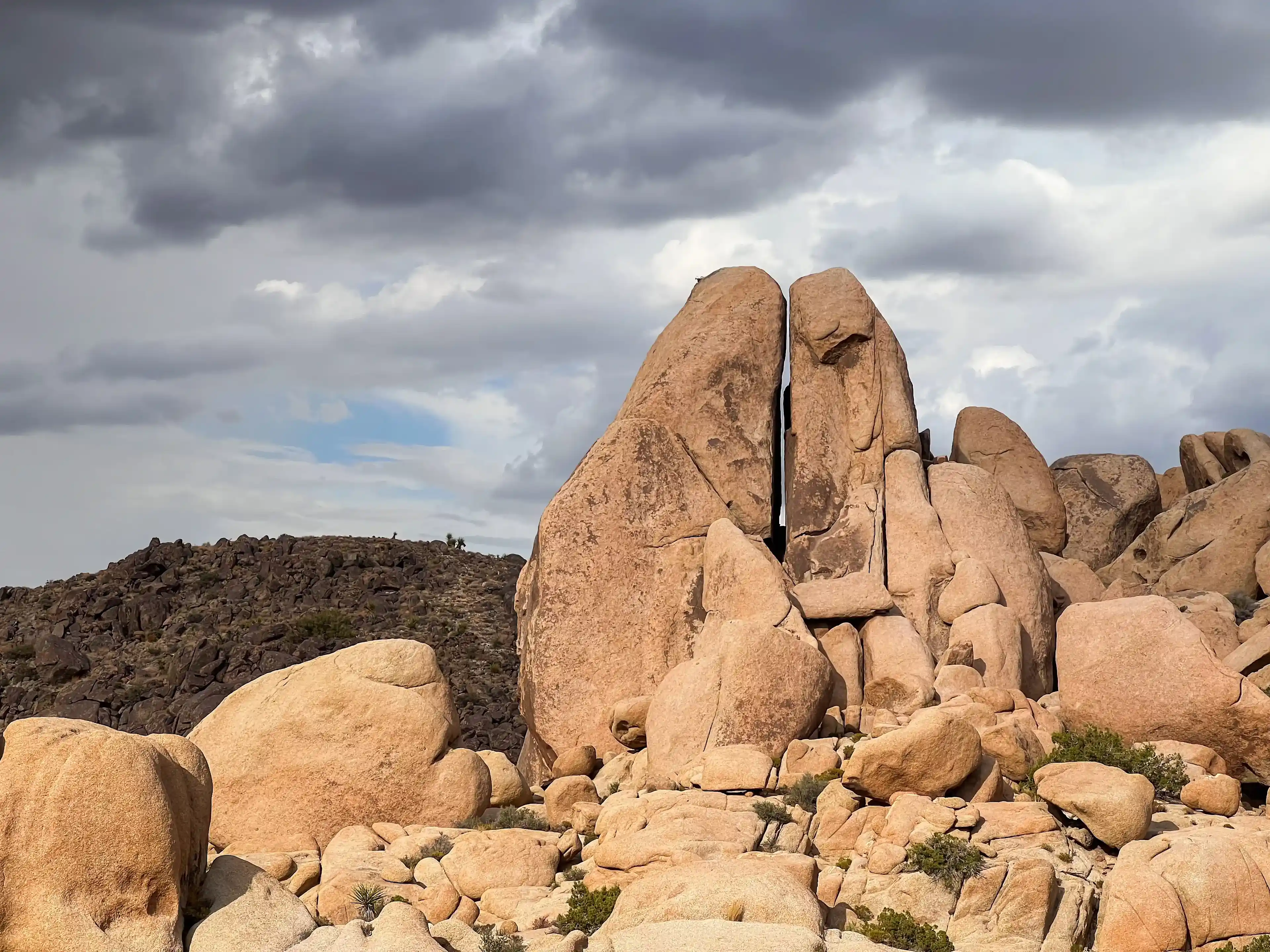 cloudy-day-at-joshua-tree-02
