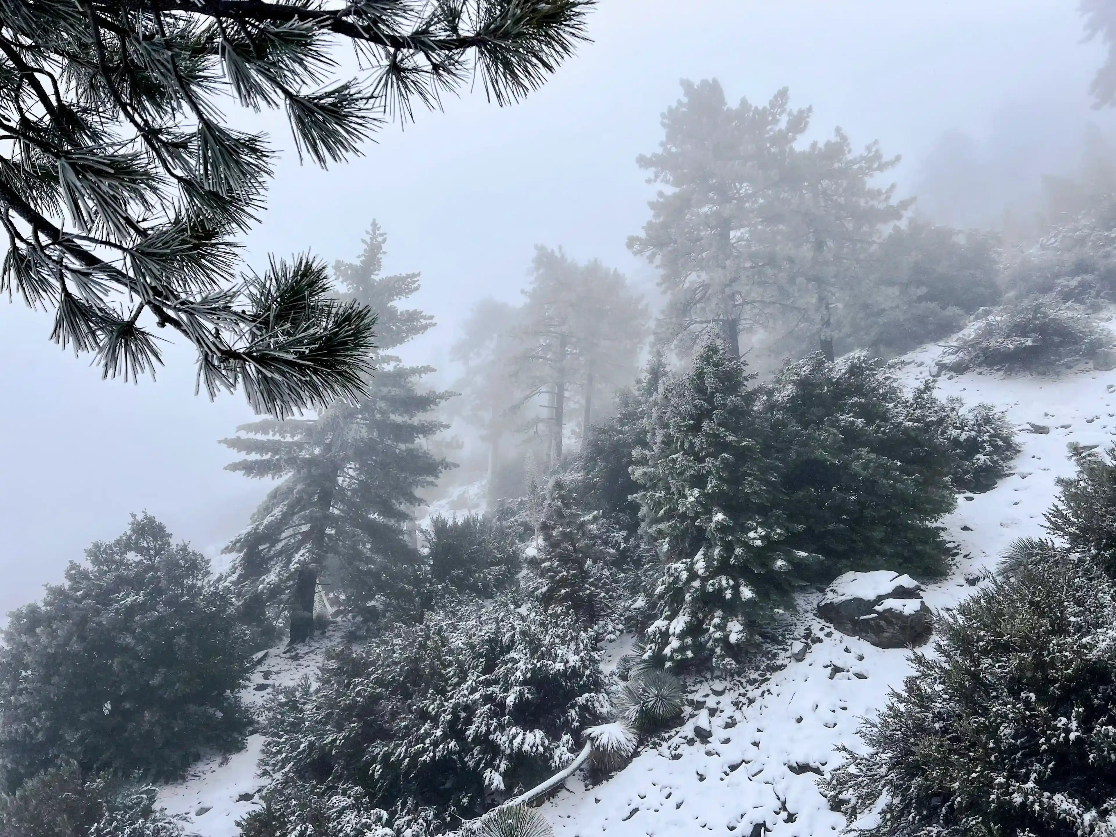 San Antonio Falls - snowy day