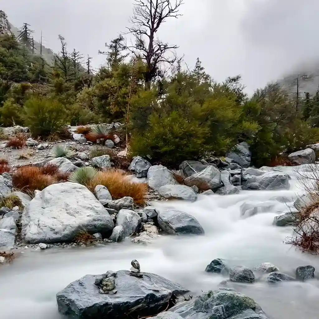 Mt Baldy river