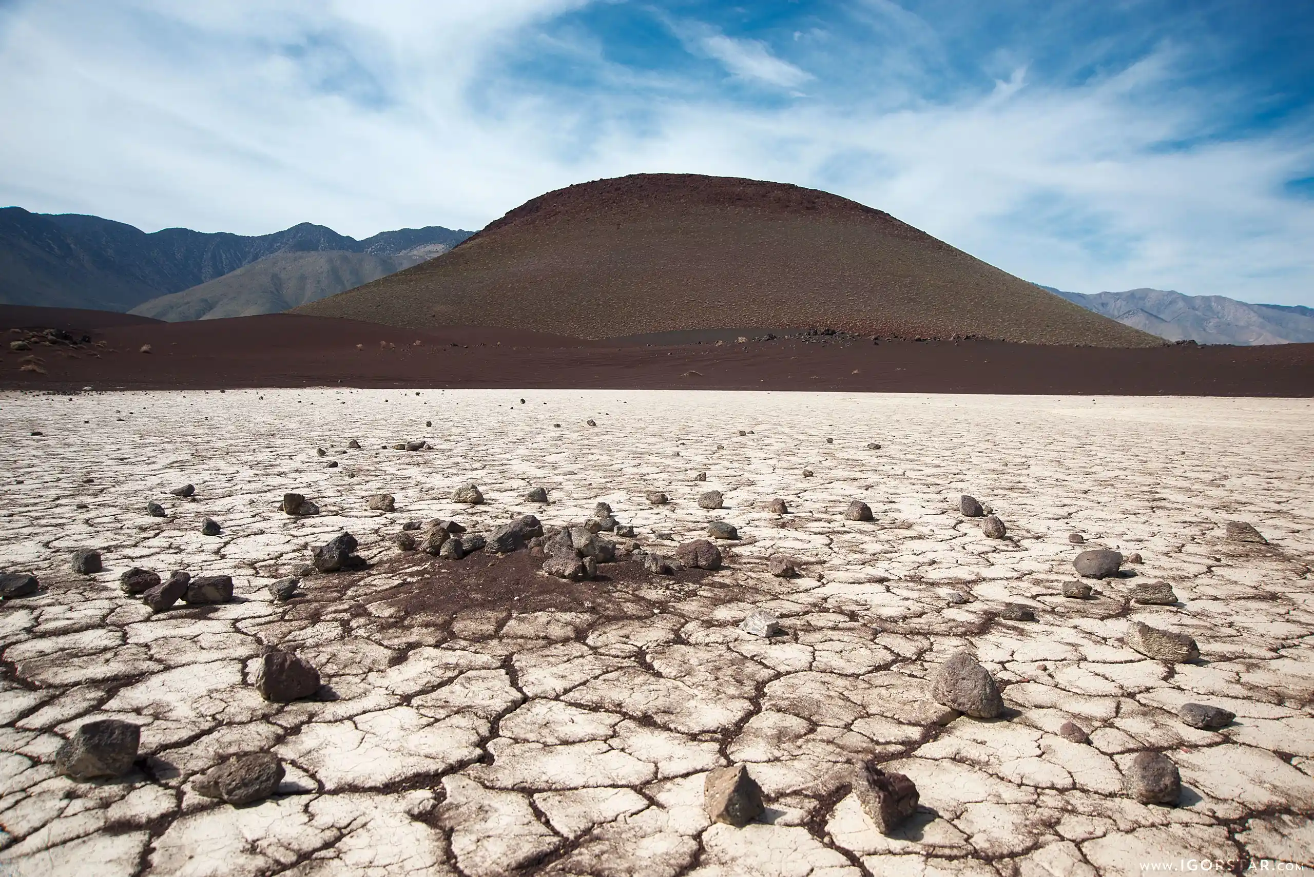 the-bloom-of-desert-07