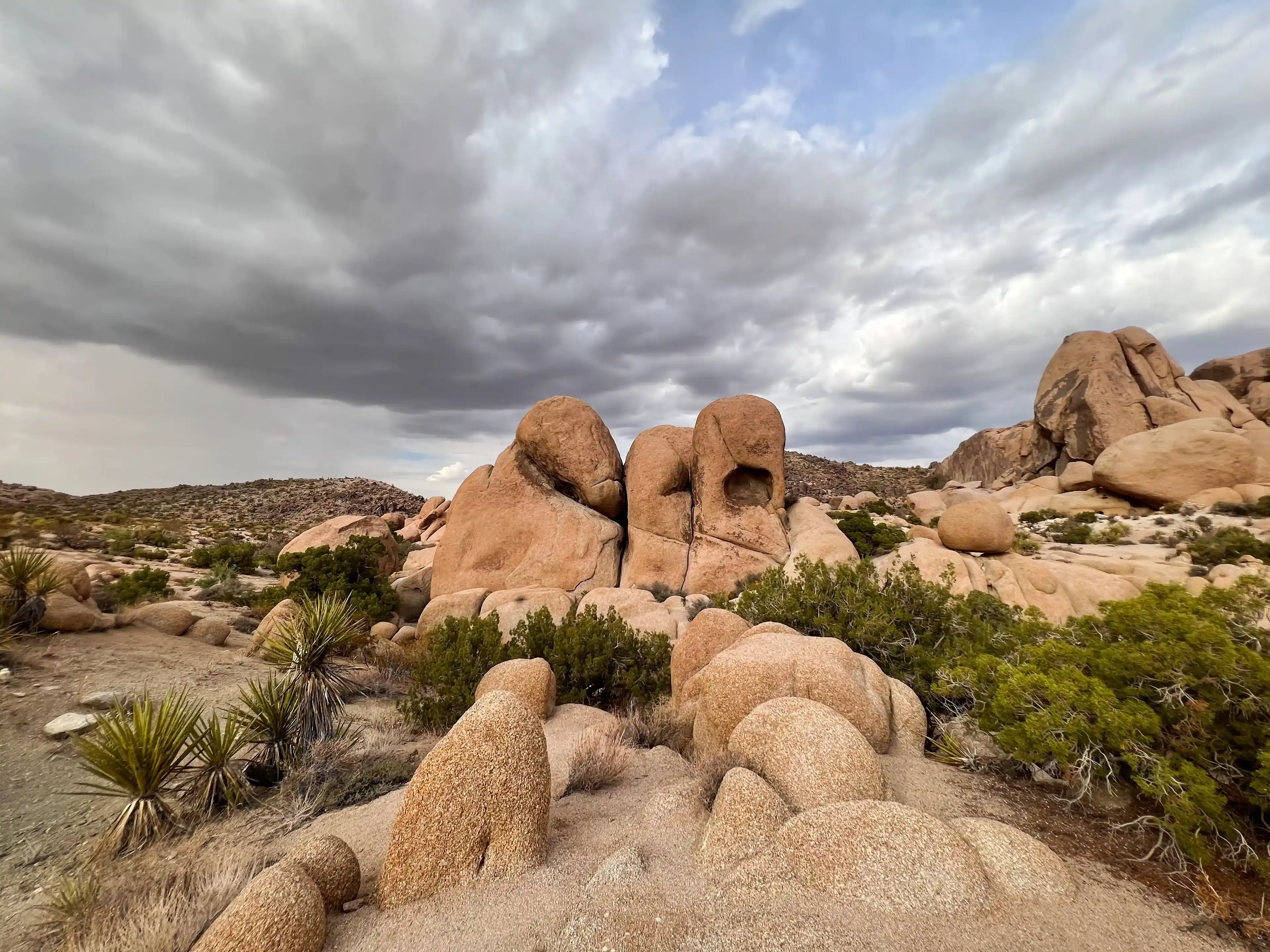 cloudy-day-at-joshua-tree-05